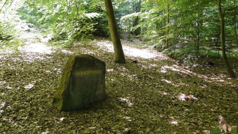 Ritterstein Nr. 146-3 Dammbrunnen.JPG - Ritterstein Nr.146  Dammbrunnen                               